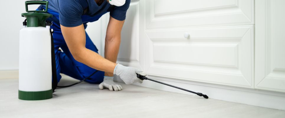 Pest Control Strategies in Sydney